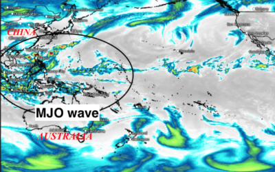 How the MJO, not just El Niño is influencing global commodity weather